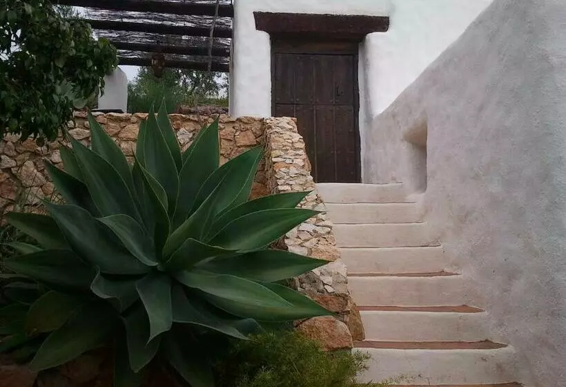 اتاق سوپریور, Rural Cortijo La Alberca