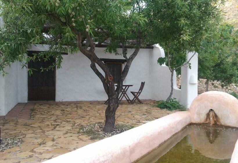 スーペリアールーム, Rural Cortijo La Alberca