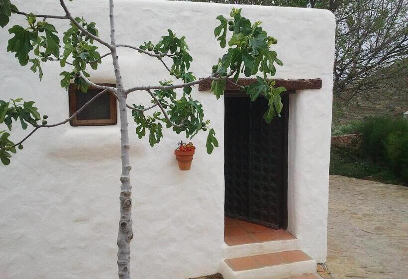 クラシックルーム, Rural Cortijo La Alberca