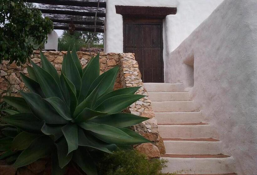 带露台的标准房间, Rural Cortijo La Alberca