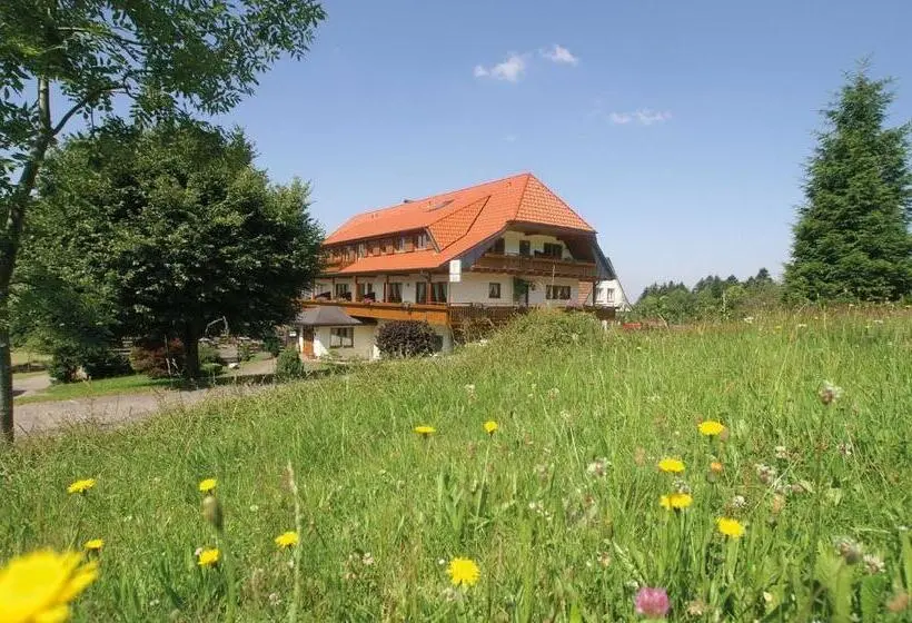 Standard-huone Parveke, Zum Breitenberg