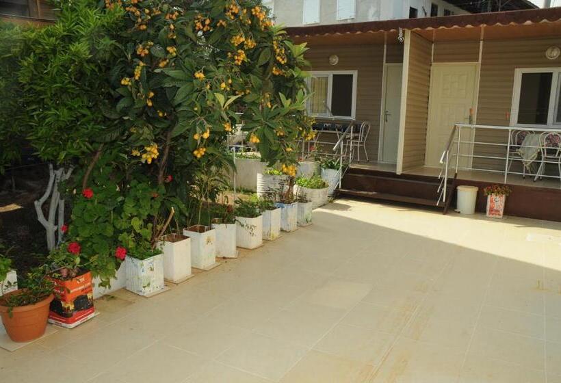 اتاق استاندارد, Likya Pansiyon