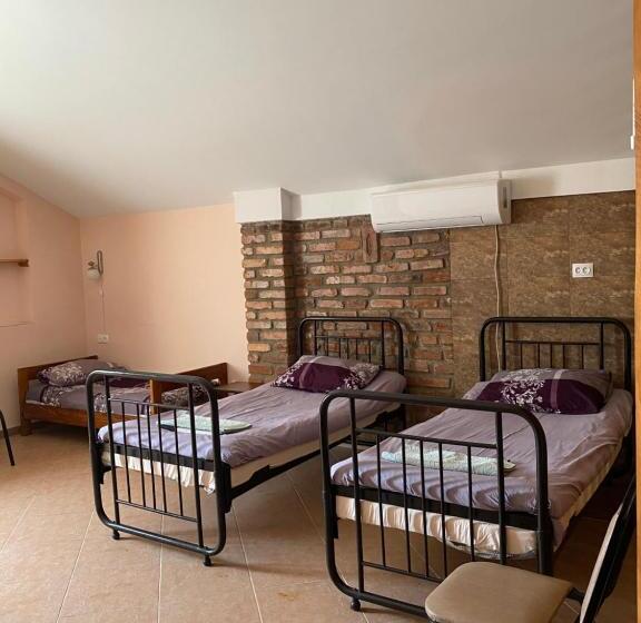 اتاق خانوادگی, Guest House Shekvetili