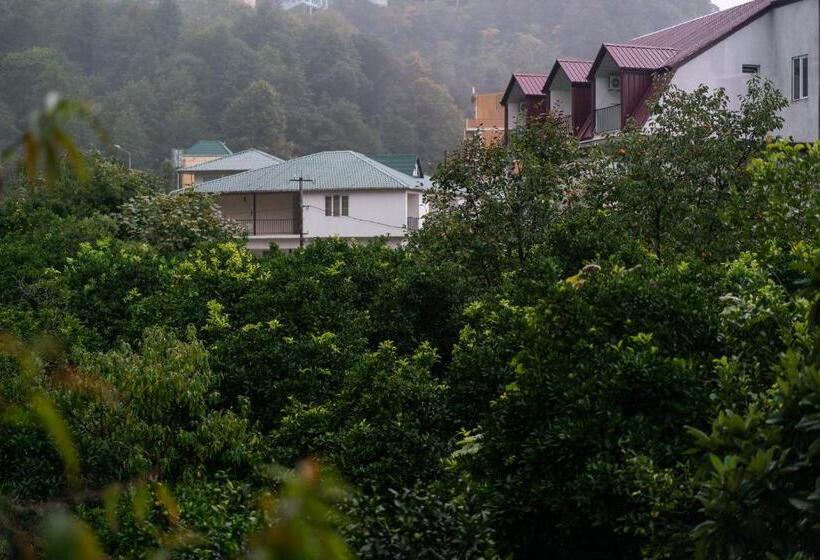 اتاق استاندارد چهار تخته, Marina Kvariati