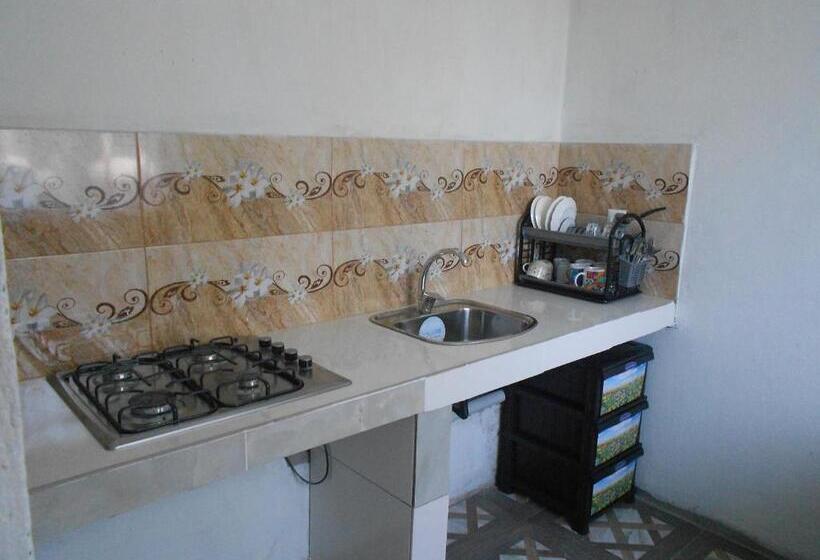 اتاق استاندارد, Marina Kvariati