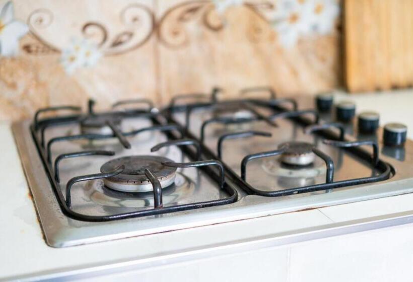 اتاق استاندارد, Marina Kvariati