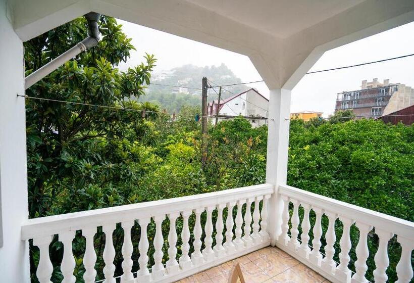 اتاق استاندارد سه تخته با بالکن, Marina Kvariati