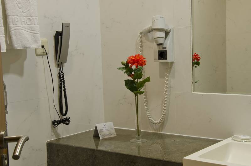 スタンダードルーム, Vip Executive Santa Iria