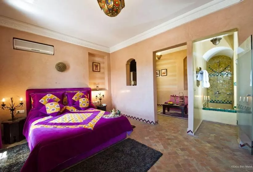 سوییت لوکس, Riad Yacout