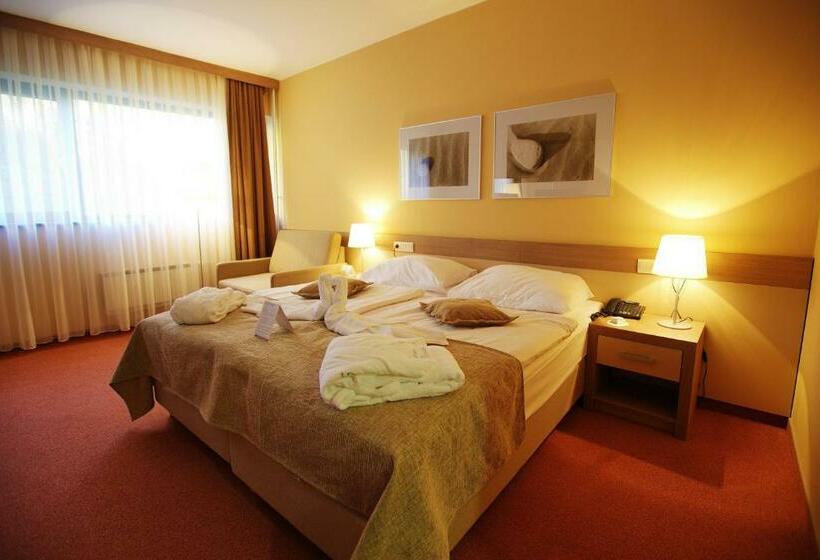 اتاق استاندارد, Terme Olimia   Hotel Breza