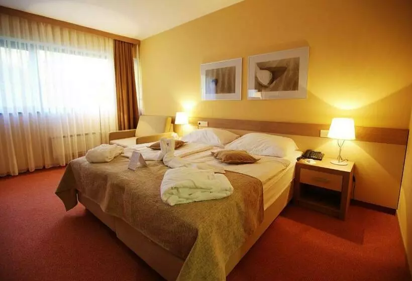 اتاق استاندارد, Terme Olimia   Hotel Breza