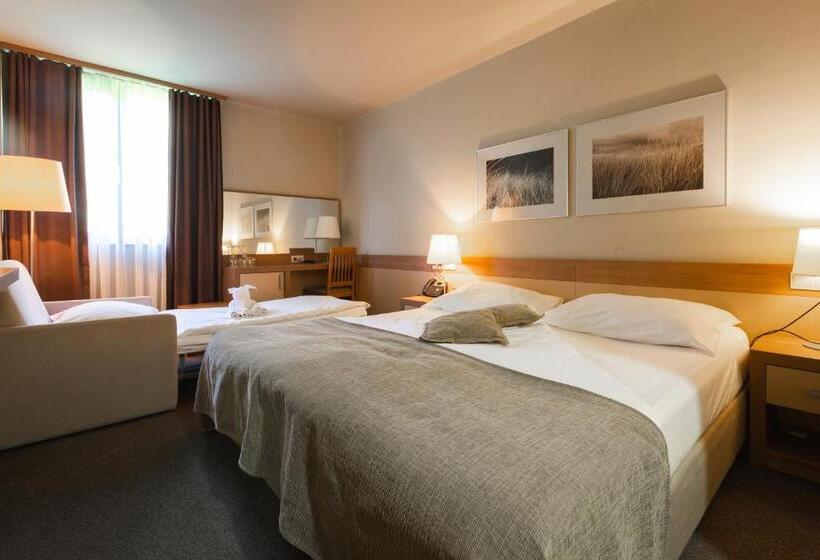 اتاق استاندارد, Terme Olimia   Hotel Breza