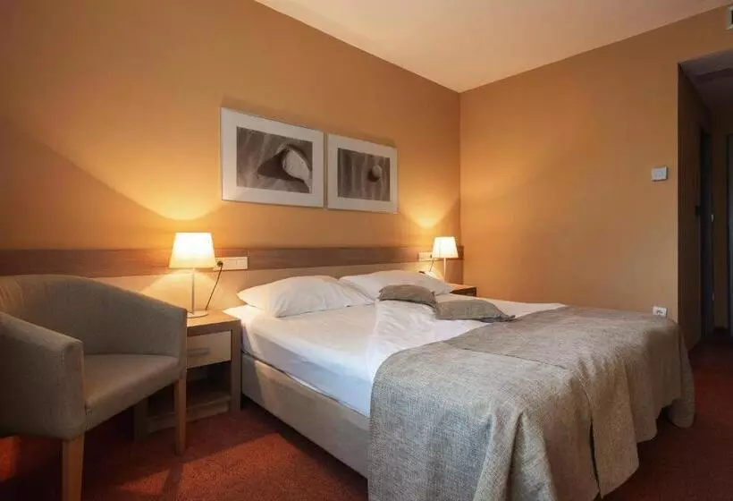 اتاق سوپریور با بالکن, Terme Olimia   Hotel Breza