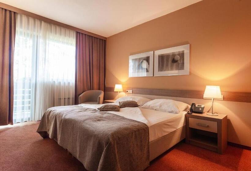 اتاق سوپریور با بالکن, Terme Olimia   Hotel Breza