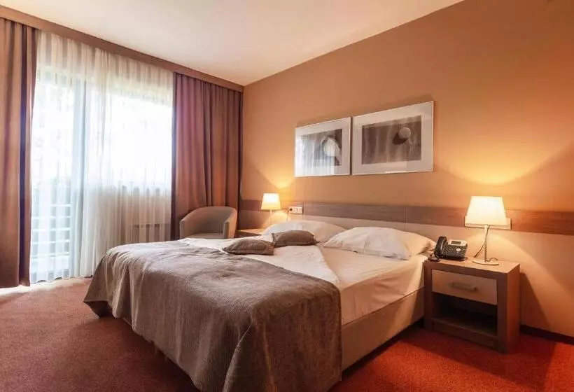 اتاق سوپریور با بالکن, Terme Olimia   Hotel Breza