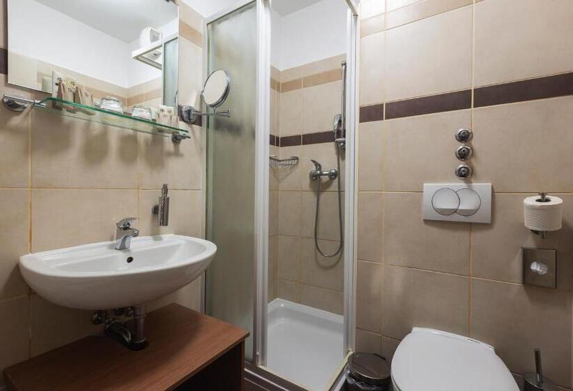 اتاق سوپریور با بالکن, Terme Olimia   Hotel Breza