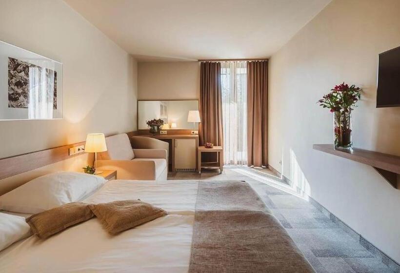 اتاق خانوادگی, Terme Olimia   Hotel Breza