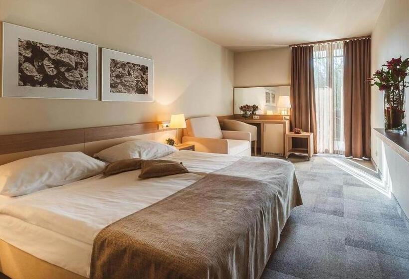 اتاق خانوادگی, Terme Olimia   Hotel Breza