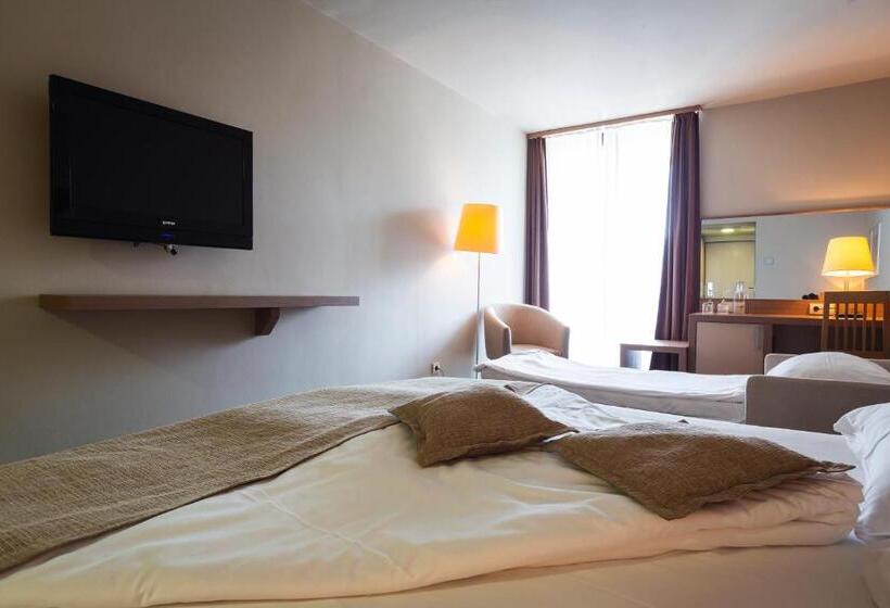 اتاق خانوادگی, Terme Olimia   Hotel Breza