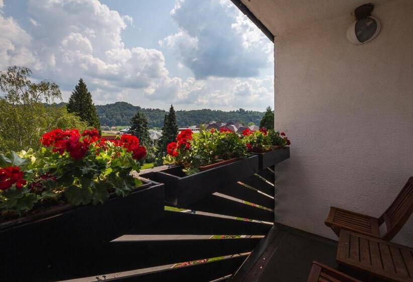 اتاق خانوادگی, Terme Olimia   Hotel Breza