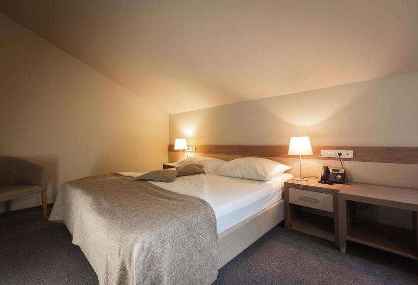 سوییت, Terme Olimia   Hotel Breza