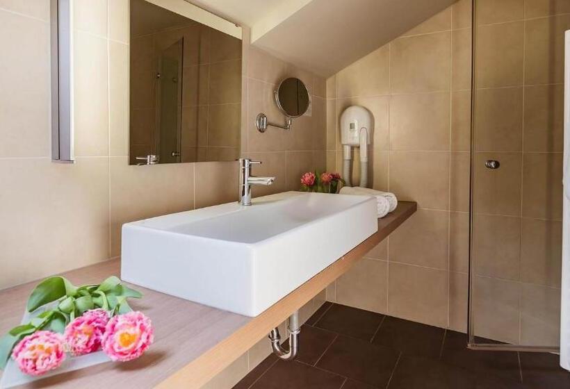 سوییت, Terme Olimia   Hotel Breza
