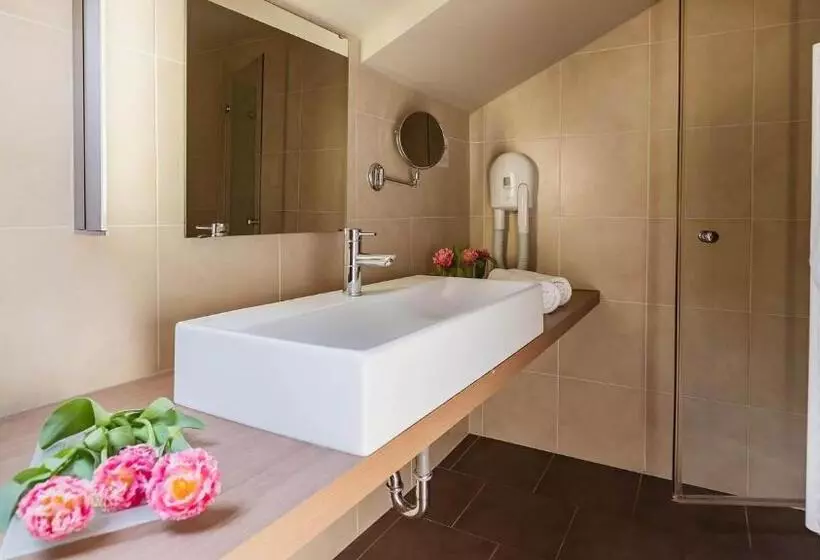 سوییت, Terme Olimia   Hotel Breza