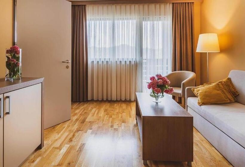 سوییت سوپریور, Terme Olimia   Hotel Breza