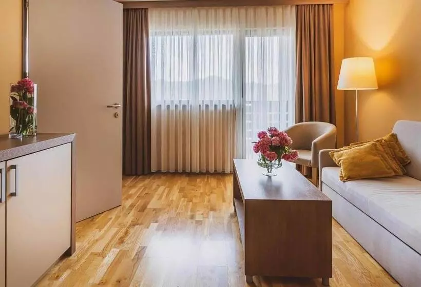 سوییت سوپریور, Terme Olimia   Hotel Breza