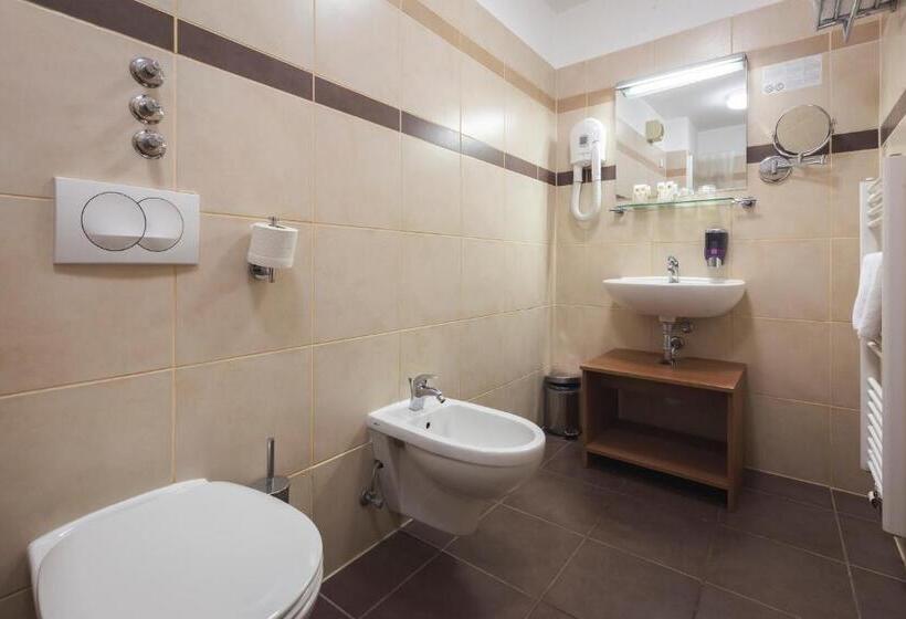 سوییت سوپریور, Terme Olimia   Hotel Breza