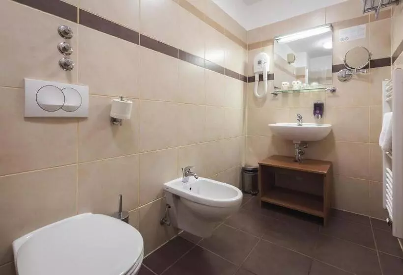 سوییت سوپریور, Terme Olimia   Hotel Breza