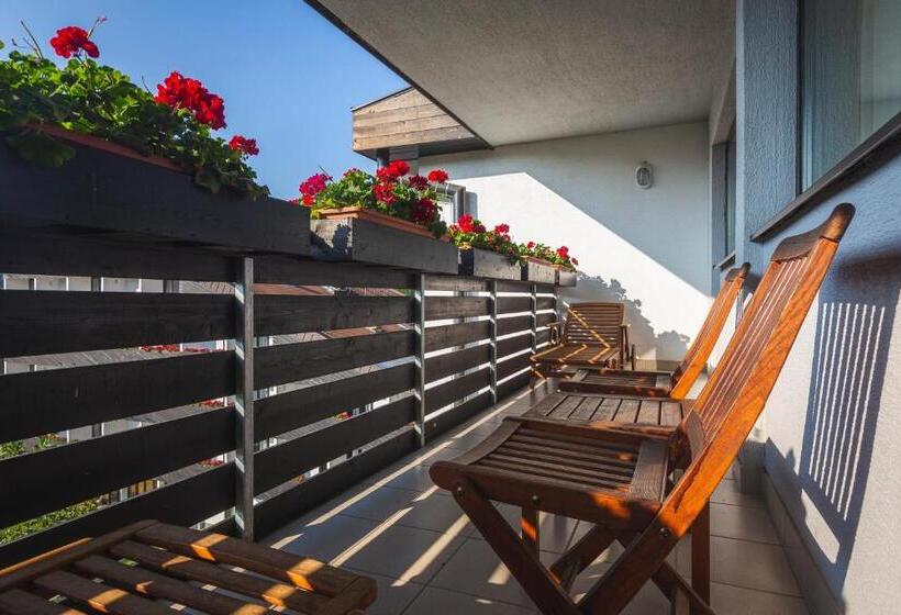 سوییت سوپریور, Terme Olimia   Hotel Breza