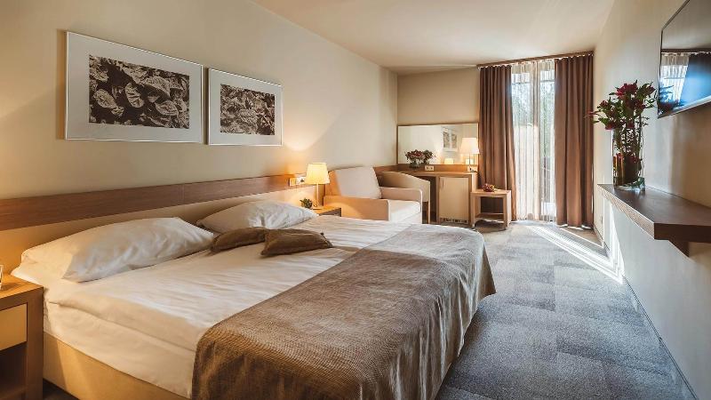 اتاق خانوادگی, Terme Olimia   Hotel Breza