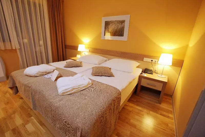 اتاق استاندارد, Terme Olimia   Hotel Breza