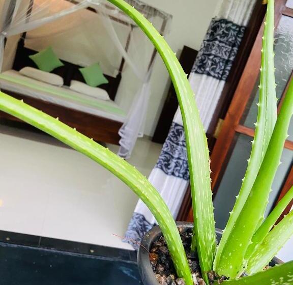 Quarto Estandar com Sacada, Sun White Villa