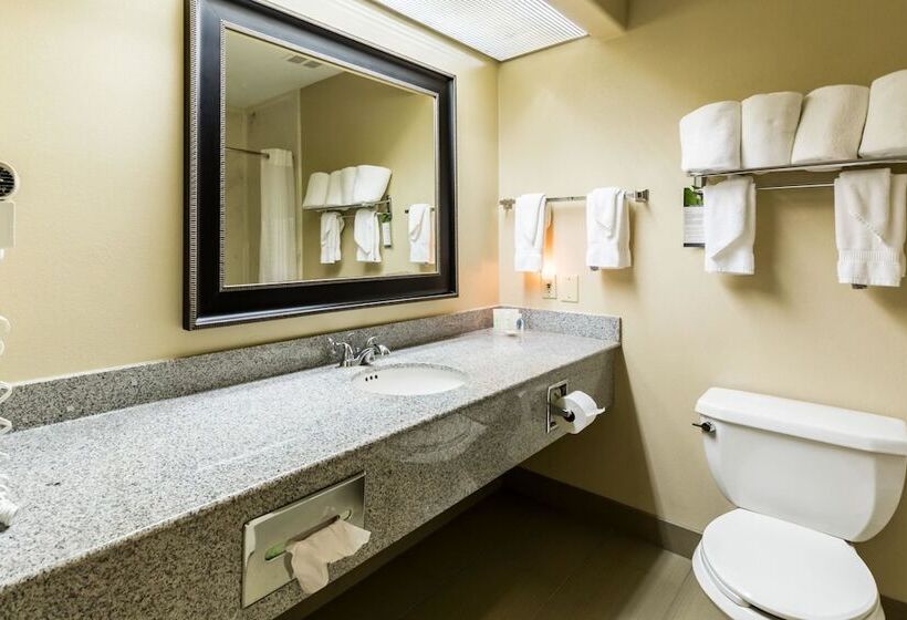 Suite, Comfort Suites Westchase Houston Energy Corridor