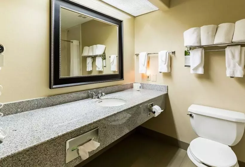 スイート, Comfort Suites Westchase Houston Energy Corridor