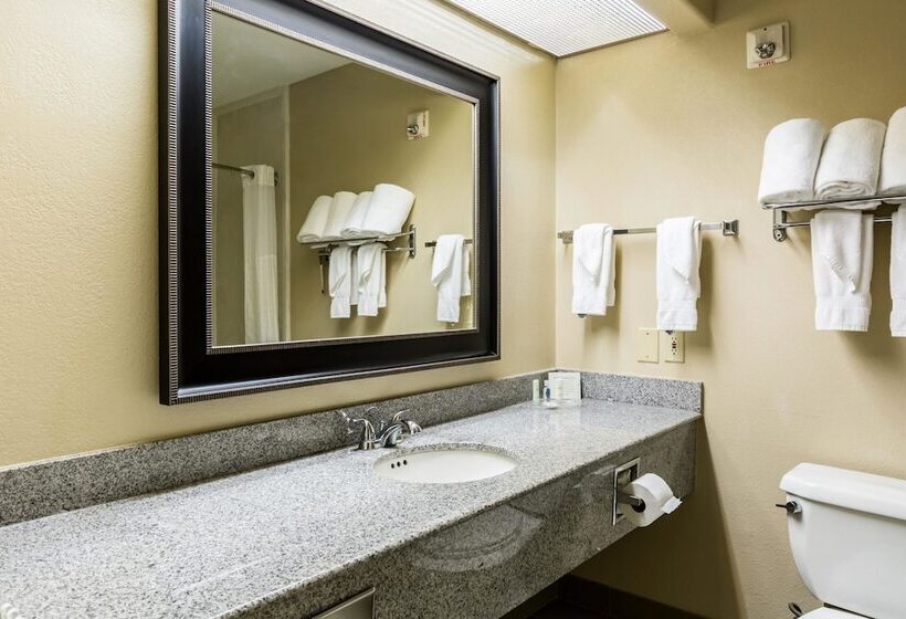 Люкс, Comfort Suites Westchase Houston Energy Corridor