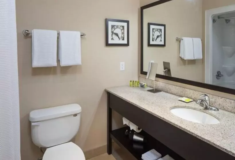 スイート, Delta Hotels By Marriott Guelph Conference Centre