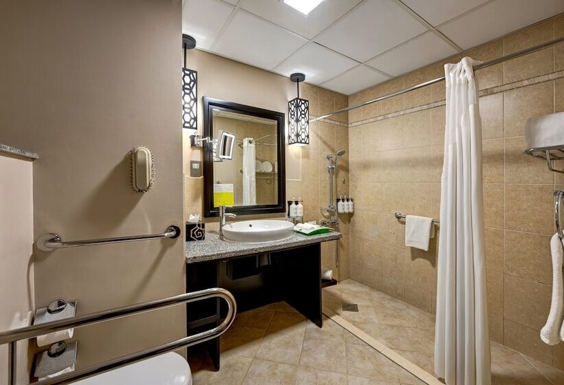 اتاق استاندارد برای معلولان, Holiday Inn Dubai Al Barsha, An Ihg