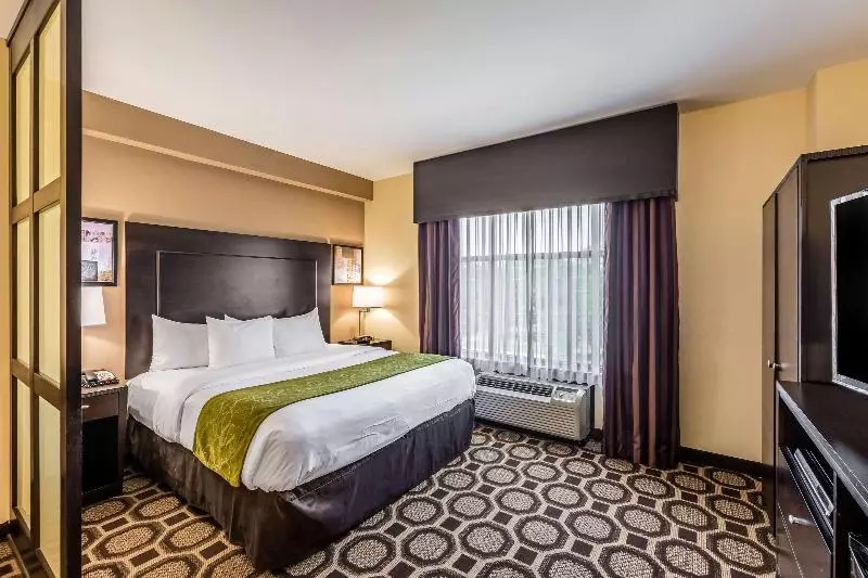 キングサイズベッドのスイートルーム, Holiday Inn Express & Suites Lexington, An Ihg