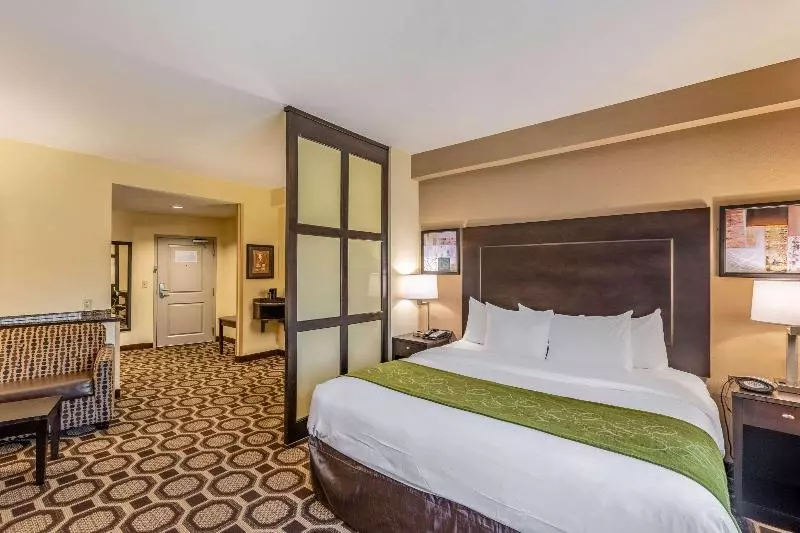 キングサイズベッドのスイートルーム, Holiday Inn Express & Suites Lexington, An Ihg
