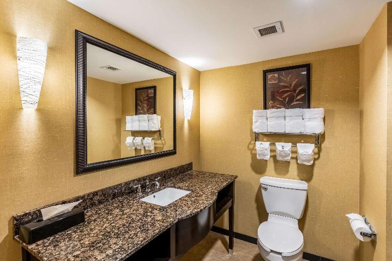 带大床的套房, Holiday Inn Express & Suites Lexington, An Ihg