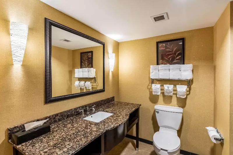 キングサイズベッドのスイートルーム, Holiday Inn Express & Suites Lexington, An Ihg