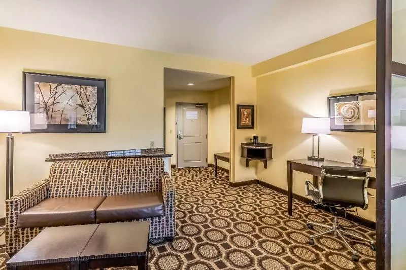 キングサイズベッドのスイートルーム, Holiday Inn Express & Suites Lexington, An Ihg