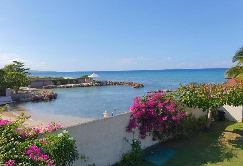 آپارتمان 1 خوابه با چشمانداز دریا, Pipers Cove Resort