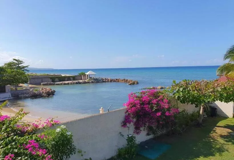 آپارتمان 1 خوابه با چشم‌انداز دریا, Pipers Cove Resort