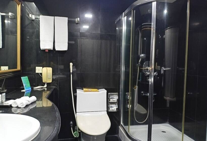 اتاق پرمیوم, Sarina