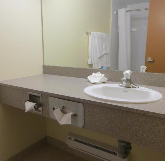 스탠다드 룸 킹사이즈 침대, Super 8 By Wyndham Midland