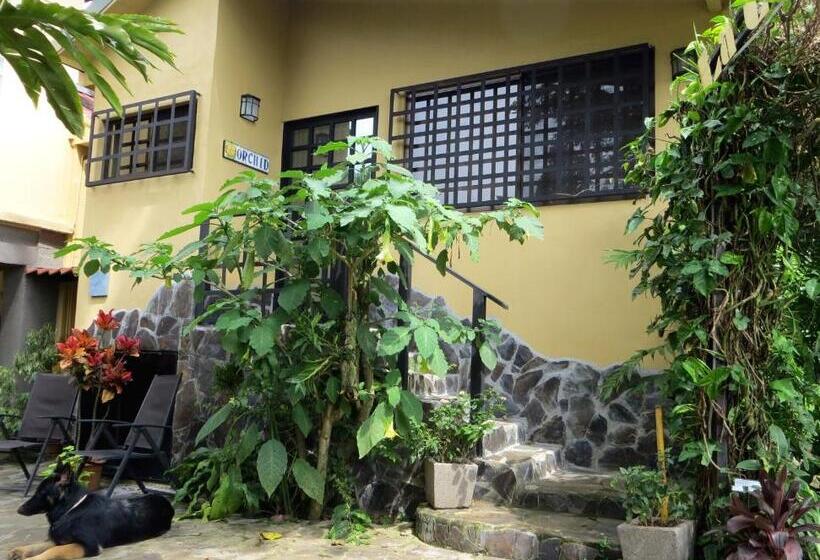 غرفة قياسية, Pura Vida